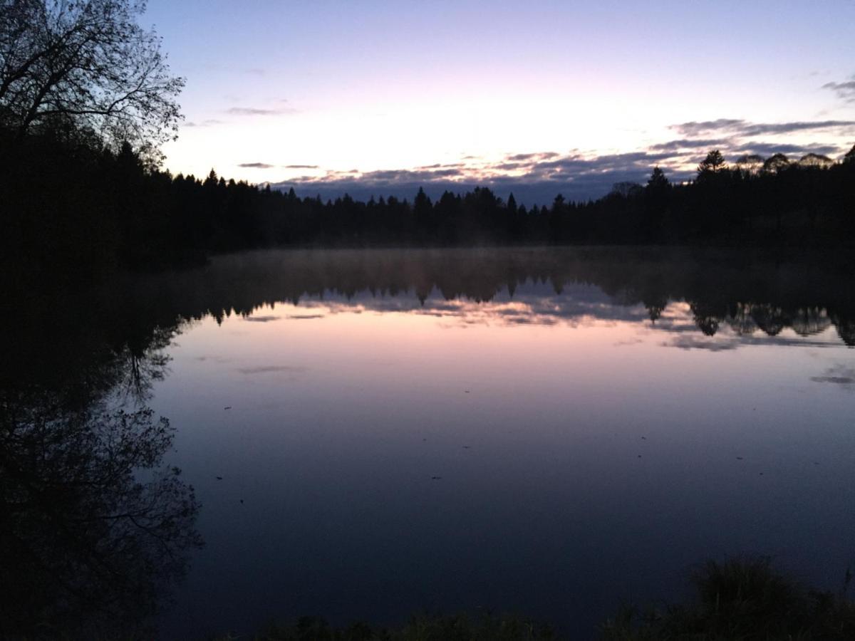Ferienwohnung Gute Zeit Hahnenklee Goslar Bagian luar foto